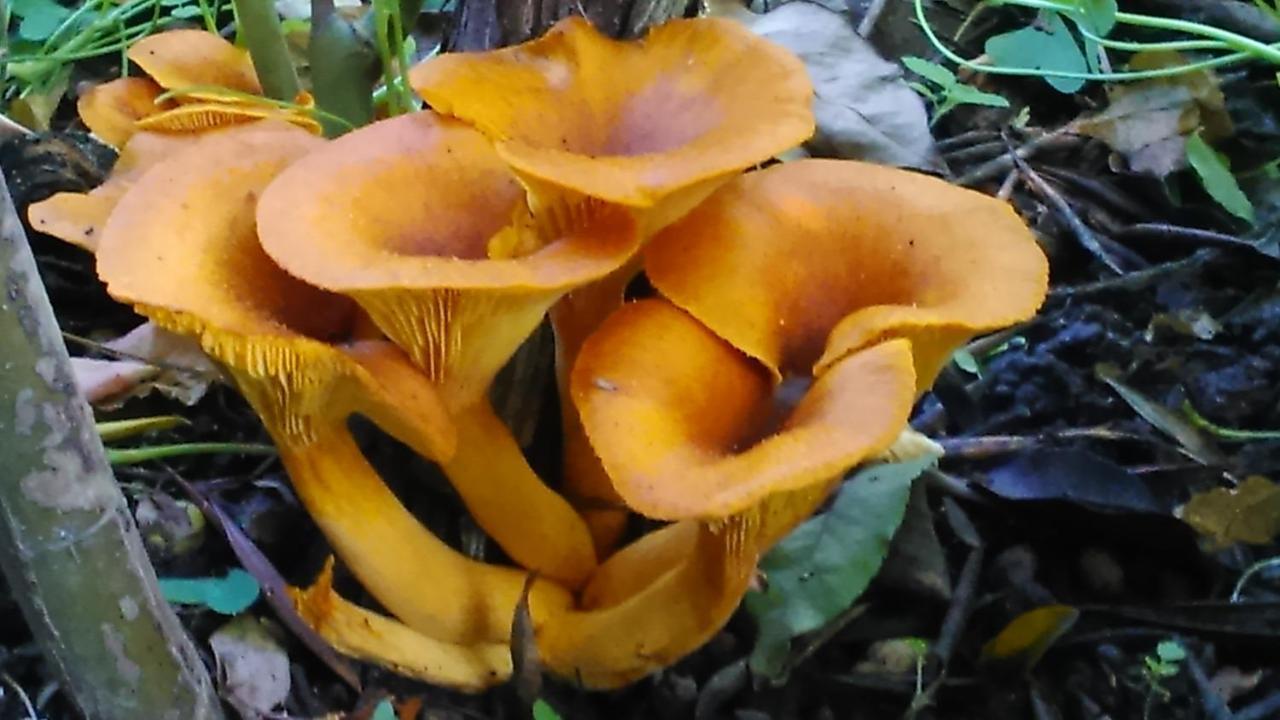 Appartamento Baha-Ammes Svoronata Esterno foto