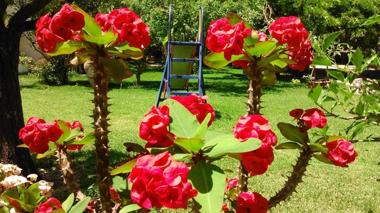 Appartamento Baha-Ammes Svoronata Esterno foto