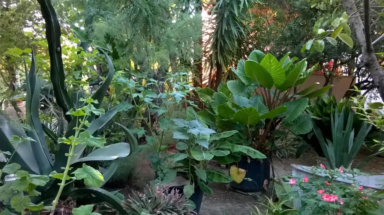 Appartamento Baha-Ammes Svoronata Esterno foto